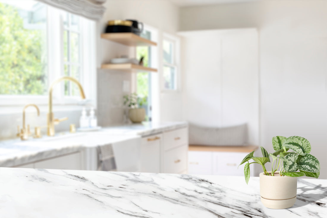 Kitchen Cleaning: Tips and Tricks for Maintaining a Sparkling Kitchen